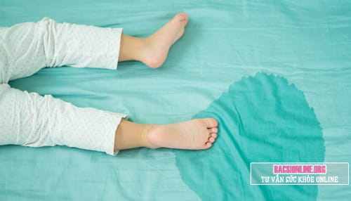 Cách chữa trị bệnh tiểu đêm dứt điểm Cách chữa trị bệnh tiểu đêm dứt điểm