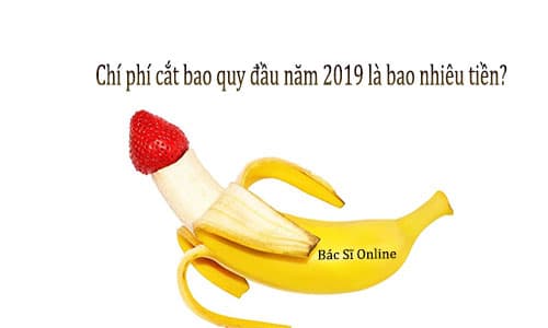Chi phí cắt bao quy đầu năm 2019 là bao nhiêu? Chi phí cắt bao quy đầu năm 2019 là bao nhiêu?
