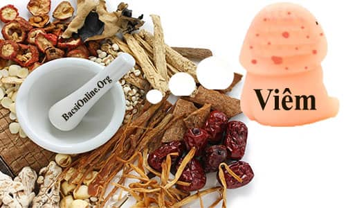 Chữa viêm bao quy đầu bằng đông y có tốt không? Chữa viêm bao quy đầu bằng đông y có tốt không?