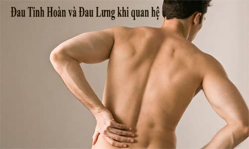 Đau tinh hoàn và đau lưng sau khi quan hệ nguy hiểm không? Đau tinh hoàn và đau lưng sau khi quan hệ nguy hiểm không?