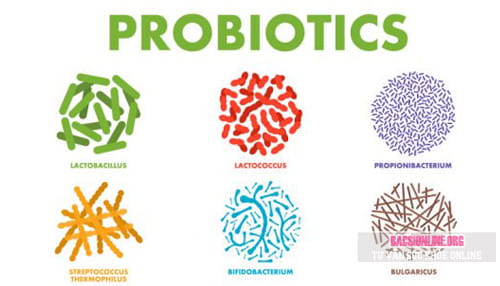 Lợi khuẩn probiotcs Lợi khuẩn probiotcs