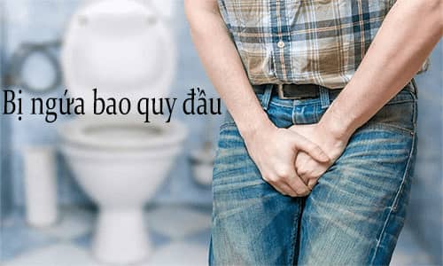 Bị ngứa bao quy đầu là bệnh gì? Bị ngứa bao quy đầu là bệnh gì?