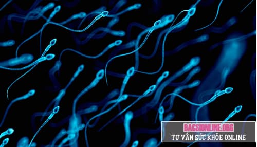 Cách điều trị tinh trùng lạnh Cách điều trị tinh trùng lạnh
