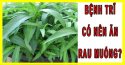 Mắc bệnh trĩ có nên ăn rau muống không?