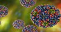 Virus HPV là gì? Virus Hpv có nguy hiểm không?