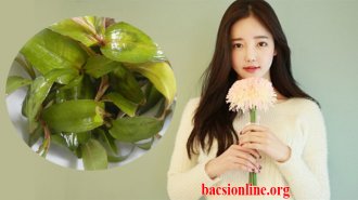 Ăn rau răm có làm chậm kinh nguyệt không?
